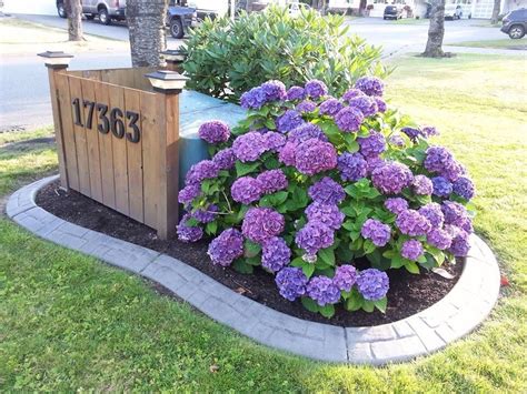 front yard ornamental covers for electrical boxes|landscaping to hide utility box.